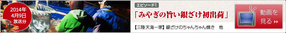 [エピソード1]みやぎの旨い銀ざけ初出荷【三陸天海一家】銀ざけちゃんちゃん焼き　他
