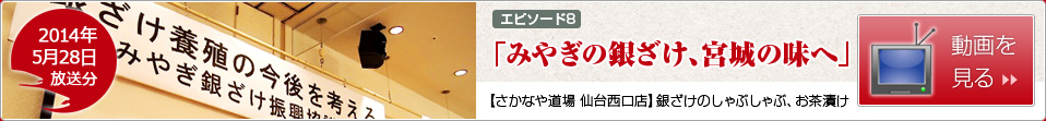 [エピソード8]みやぎの銀ざけ、宮城の味へ【さかなや道場　仙台西口店】銀ざけのしゃぶしゃぶ、お茶漬け