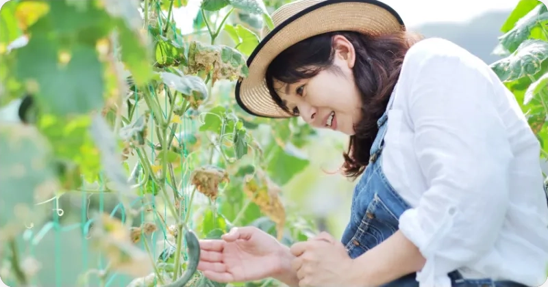 働く人のスライド画像