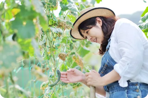 働く人のスライド画像